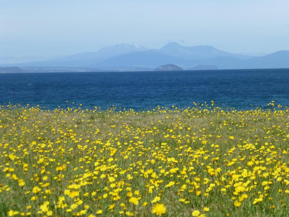 You Little Beauty - Wharewaka Beach Magic タウポ エクステリア 写真
